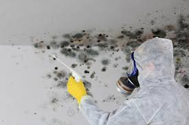 Best Air Quality Testing for Mold Spores  in Winsted, MN